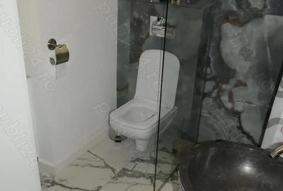 Apartament la casa amenajat modern, complet mobilat, zona Pia?a Mihai Viteazul, et. 1 - 2