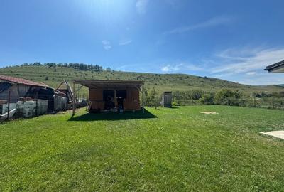 0% comision Casa individuala P+E+Pod-1000 mp teren - sat Pata - 16