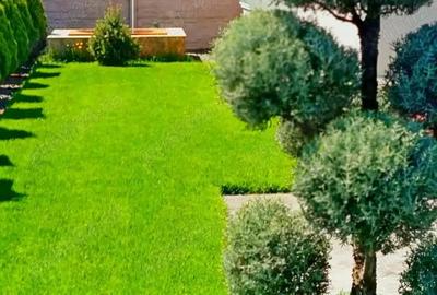 Sacalaz - casa de vanzare - 17