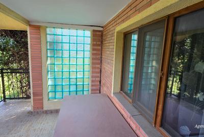 Casa caramida in Costesti - 6