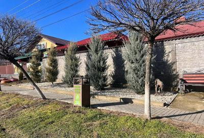 Casă cu Teren 1000 Mp în Putineiu - 3