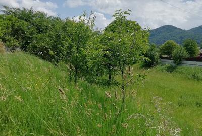 Teren intravilan Viisoara Teren intravilan Viisoara - 2