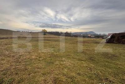 Teren de 2800 mp, în Central