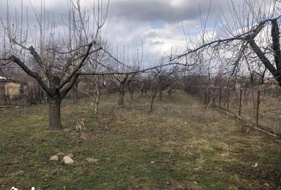 Casă cu 3 camere cu Teren 1768 Mp în Drajna - 13