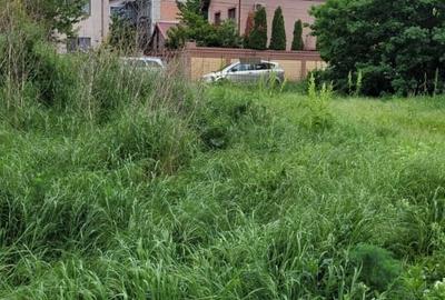 Teren 500 Mp Dobroesti Ciresului Urbanism Emis - 2