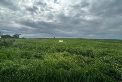 Teren de vanzare Bals Com. Voineasa, Sat Racovita - 2