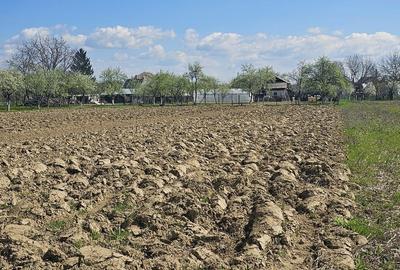 Teren de 1400 mp, în Roșu - 4