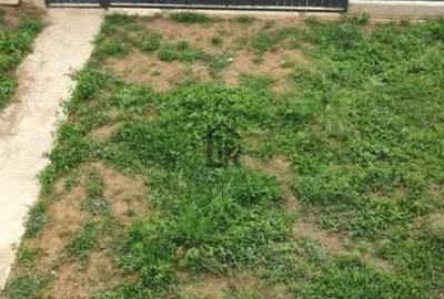 Casă cu 4 camere cu Teren 170 Mp în Valea Lupului - 10