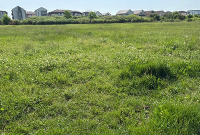 Teren Construcții intravilan de 1239 mp, în Aradul Nou - 8