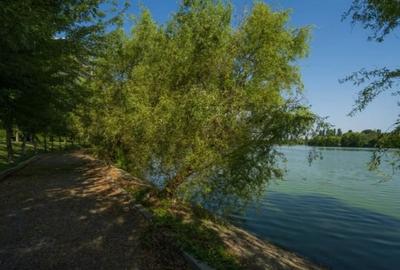 Laguna Residence | PentHouse | 5 Camere | Vedere Superba Catre Lacul Tei - 8