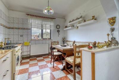 Oportunitate - Casă boierească  de poveste- 7000 mp teren, deschidere - 25