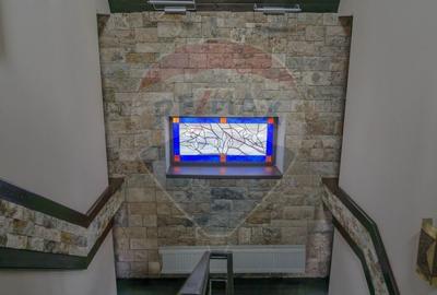 Casă individuală cu 7 camere cu Teren 1343 Mp în Făget - 22