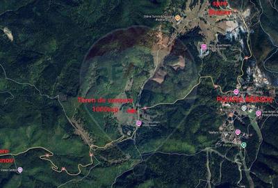 Teren de vis la poarta statiunii turistice Poiana Bra?ov... Teren de vis la poarta statiunii turistice Poiana Bra?ov... - 3