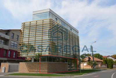 Spațiu comercial, de 52.360000610352 mp, în Cantemir - 1