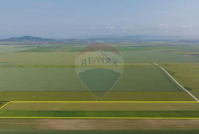 Teren 42,000mp Tarlungeni / Strada Izvor - 10