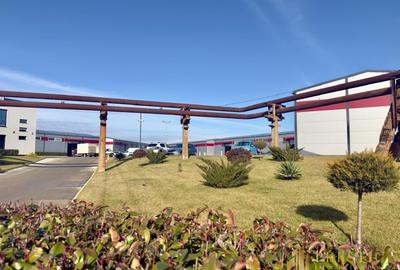 Spațiu industrial, de 400 mp, în Vest - 10