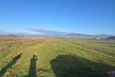 Teren de 1800 mp, în Mocira - 2