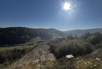 Teren intravila ,1000mp , zona Str Salcamului