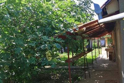 Casă cu 2 camere în Șag - 7