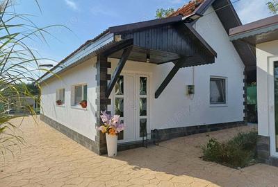 Casă cu Teren 1016 Mp în Petrovaselo - 2