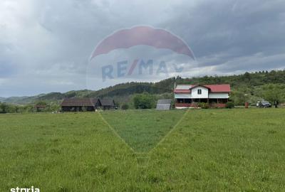 Casă cu 4 camere cu Teren 57600 Mp în Zimbor - 17