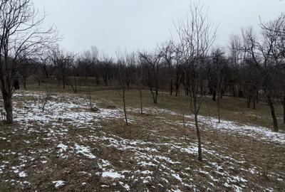 Teren 4652 mp cu izvor pe el, Lunca Mare, lângă păstrăvăria Doftana - 13