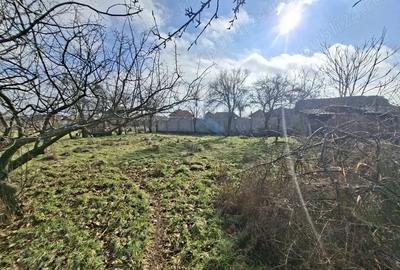 Casă cu 3 camere în Obârșia de Câmp - 1