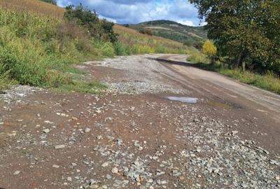 Teren extravilan 700mp in Gusterita. - 4