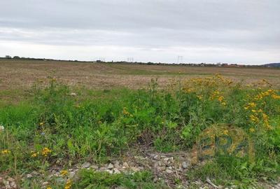 Teren Osorhei, Str. 610 - 6