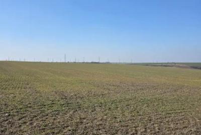 Teren de 7500 mp, în Nord - 3