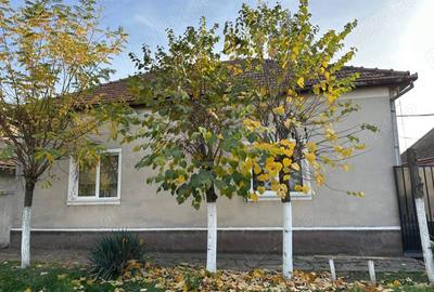 Casă cu 5 camere în Jamu Mare - 5