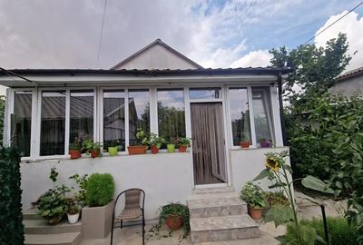 Casa cu suflet in centrul Medgidiei- gradina superba - 33