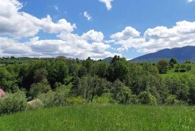 Spațiu comercial, în Sohodol - 4