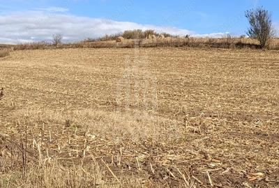 Teren de 9300 mp, în Șura Mare