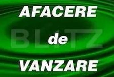 Afacere la cheie! Cladire individuala, 500 mp, plus 9 ari teren, zona Centrala - 1