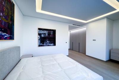 Apartament de inchiriat 4 camere Kiseleff - 20