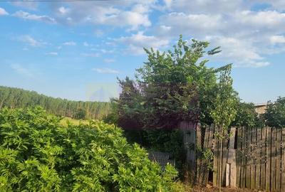 Se vinde teren 4200 mp in Teisori Giurgiu - 6
