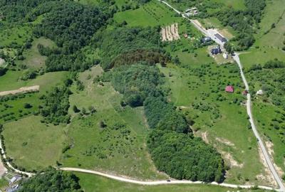 Teren de 55600 mp, în Codru Butesii - 16