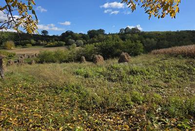 Casa com.Band 3 cam. 80mp + teren 3285mp - 5