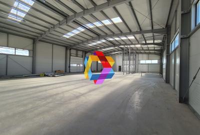 Hala - 700 mp  # plus-imo.ro - 12