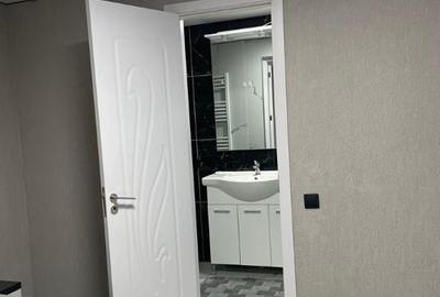 Garsoniera de inchiriat in Colentina - 9