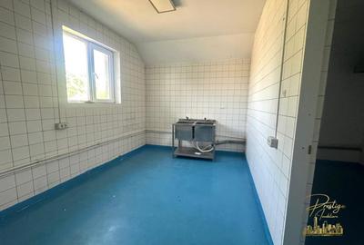 Spatiu industrial - productie alimentara de vanzare str. Fabricilor - 11