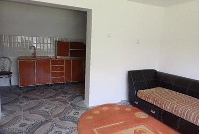 Casă cu 2 camere cu Teren 300 Mp în Central - 2