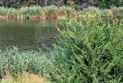 Teren de 4500 mp, în Moara Vlăsiei