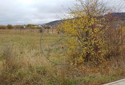 Teren intavilan 5000mp, Unirea zona Aerodrom - 1