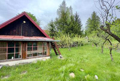 Vila vacanta Cheia - Prahova, pretabila pentru investitie - 33