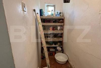 Casă cu 2 camere cu Teren 1700 Mp în Gheorghe Doja - 11