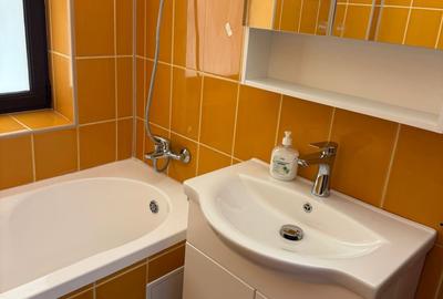 Inchiriere apartament 3 camere zona Unirii fantani - 6