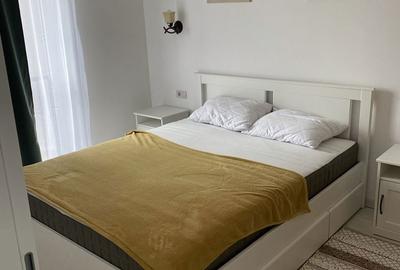 Apartament cu 2 camere decomandat, mobilat în Exterior Vest - 2