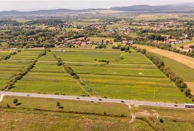 Teren extravilan Lunca Calnicului langa E574 - 11